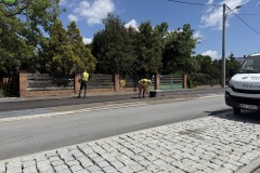 Kozienice-DK48-km-ok_129300_30.06.2025_Zielen-drogowa